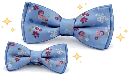 Illustration Fliegen & Accessoires